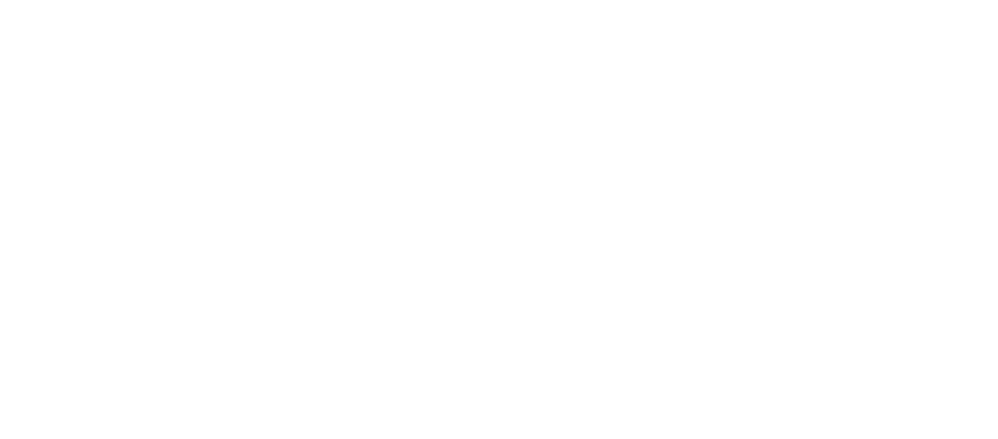 LVC - LeVIPCollection